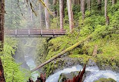 Sol Duc