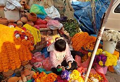 Nepalas