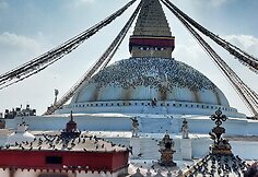 Nepalas