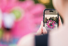 Menininkė Jolita Vaitkutė sukūrė unikalią instaliaciją &scaron;altibar&scaron;čių festivaliui
