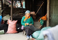 Vietnamas