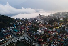 Vietnamas