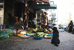 Vietnamas
