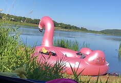 Dviejų draugų kelionė pripučiamu flamingu