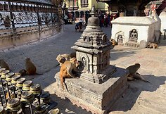 Įspūdžiai iš Nepalo