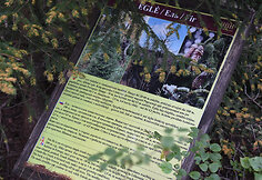 HBH &bdquo;Pelkių takas&ldquo; 