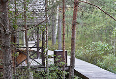 HBH &bdquo;Pelkių takas&ldquo; 