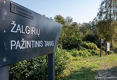 Žalgirių pažintinis takas