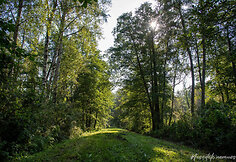 Žalgirių pažintinis takas
