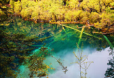 Dziudžaigou (Jiuzhaigou) nacionalinis parkas Kinijoje