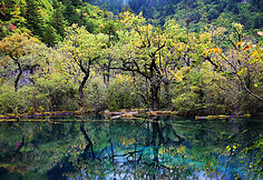 Dziudžaigou (Jiuzhaigou) nacionalinis parkas Kinijoje