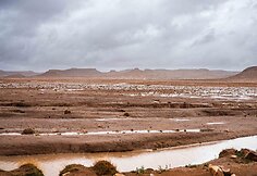 &bdquo;RatRace&ldquo; Afrikoje