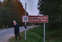 Auk&scaron;tumalos pelkė