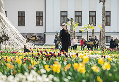 Pakruojo dvaro pavasario gėlių festivalis