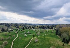 &Scaron;iaulės žemė