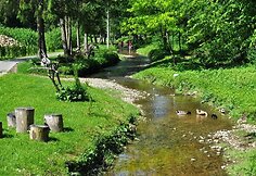 Vaiguvos upė-gatvė