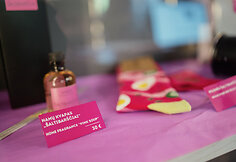 Vilniaus &Scaron;altibar&scaron;čių festivalis (&bdquo;Vilnius Pink Soup Fest&ldquo;)