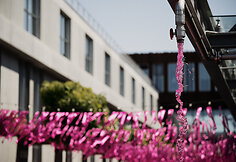 Vilniaus &Scaron;altibar&scaron;čių festivalis (&bdquo;Vilnius Pink Soup Fest&ldquo;)