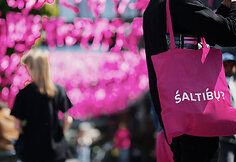 Vilniaus &Scaron;altibar&scaron;čių festivalis (&bdquo;Vilnius Pink Soup Fest&ldquo;)