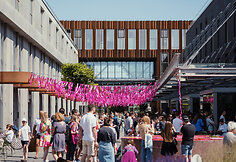Vilniaus &Scaron;altibar&scaron;čių festivalis (&bdquo;Vilnius Pink Soup Fest&ldquo;)
