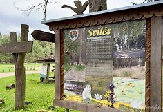 Svilės kraštovaizdžio takas