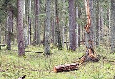 Svilės kraštovaizdžio takas