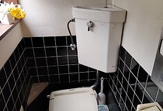 Namų tualetuose mažiau mygtukų, bet gali būti vandens taupymo sprendimų