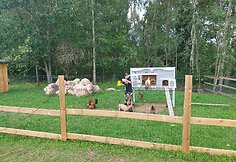 „Alpakų slėnis“