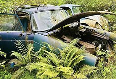 Automobilių kapinės &Scaron;vedijoje