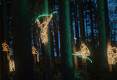 LUMINA parkas