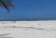 Zanzibaras