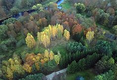 Nemunėlio Radvili&scaron;kis