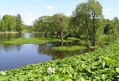 Nemunėlio Radvili&scaron;kis