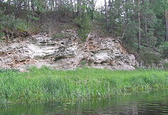 Nemunėlio Radvili&scaron;kis