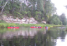 Nemunėlio Radvili&scaron;kis