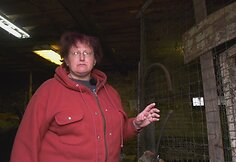 &bdquo;Pelenė Princesė&ldquo;
