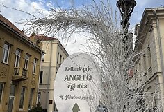 Kalėdų eglutė senamiestyje