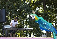 Andriaus Dainio debiutas &bdquo;Karklės&ldquo; festivalyje
