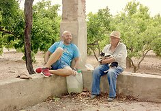 Arūno Matelio prodiusuotas filmas &bdquo;Domingo, Domingo&ldquo;