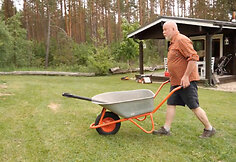 Laisvės ir Vytaro Radzevičių nuotykiai kaime
