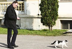 Viktorijos Jakučinskaitės ir Vitalijaus Jančenkovo vestuvių akimirka