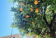 Marija Palaikytė sugrįžo į Italiją/Asmeninio archyvo nuotr.
