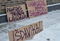 Druskininkai pasitinka Žemaitaitį