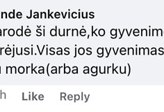 Po Remigijaus Žemaitaičio įra&scaron;u socialiniame tinkle &ndash;&nbsp;patyčių lavina