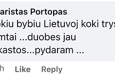 Po Remigijaus Žemaitaičio įra&scaron;u socialiniame tinkle &ndash;&nbsp;patyčių lavina