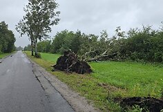 Audros epicentras atslinko į &Scaron;ilutę