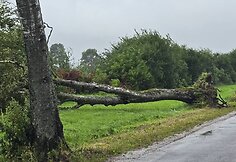 Audros epicentras atslinko į &Scaron;ilutę
