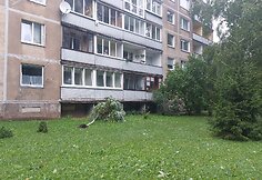 Vilniaus Lazdynų mikrorajone audra pridarė žalos: ant daugiabučio užvirto medis