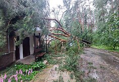 Vilniaus Lazdynų mikrorajone audra pridarė žalos: ant daugiabučio užvirto medis
