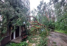 Vilniaus Lazdynų mikrorajone audra pridarė žalos: ant daugiabučio užvirto medis